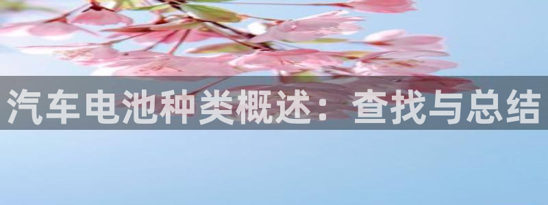 优发国际注册平台是什么：汽车电池种类概述：查找与总结