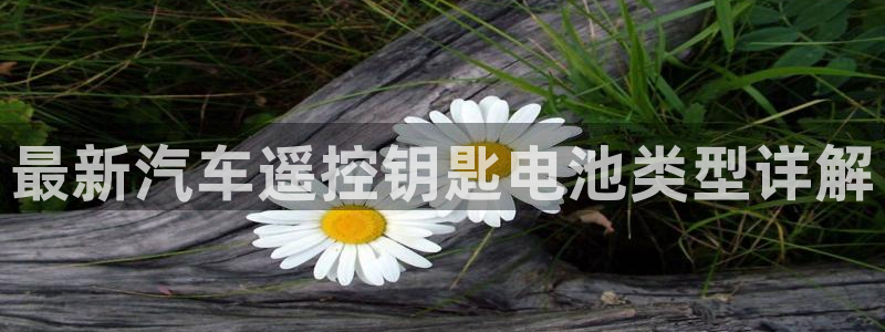 优发国际官网：最新汽车遥控钥匙电池类型详解
