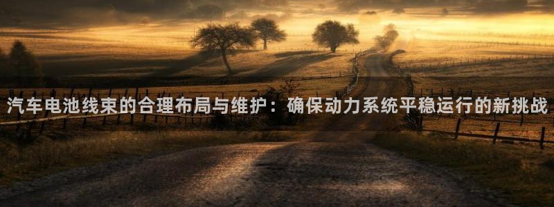 优发国际平台u8：汽车电池线束的合理布局与维护：确保动力系统平稳运行的新挑战