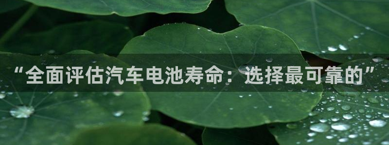 优发国际是不是黑网：“全面评估汽车电池寿命：选择最可靠的”