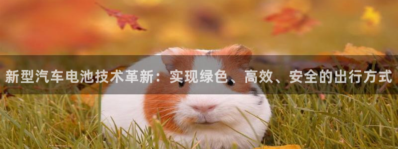 优发国际官网手机版代理