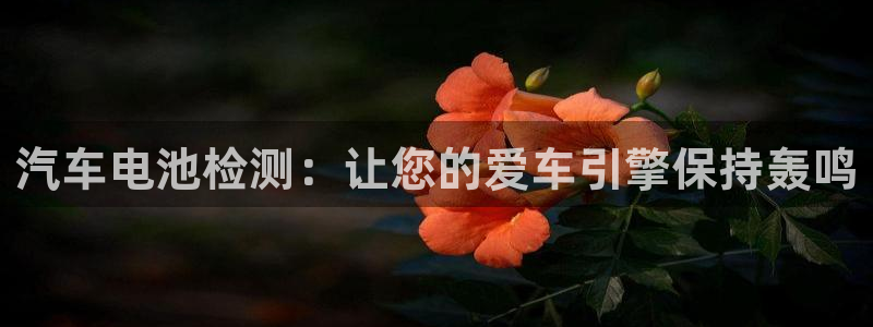 优发国际注册平台