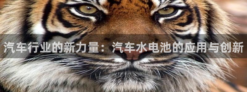 优发国际手机客户端下载安卓