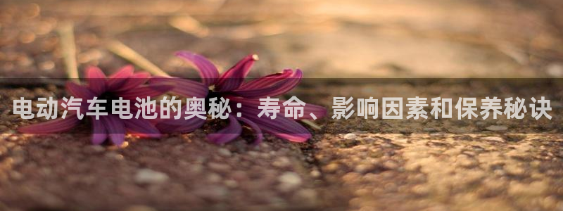 优发国际登录首页：电动汽车电池的奥秘：寿命、影响因素和保养秘诀