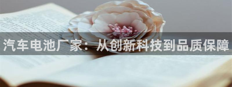 优发国际首页app：汽车电池厂家：从创新