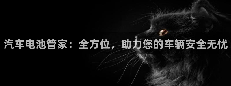 优发国际官方网：汽车电池管家：全方位，助力您的车辆安全无忧
