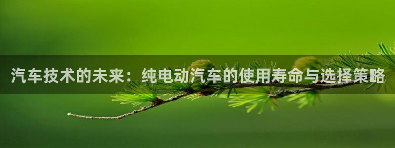 优发国际手机客户端官网首页：汽车技术的未