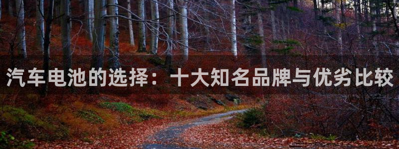 优发国际app登录