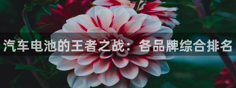 优发国际官方网平台